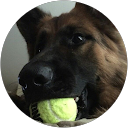 delisha profile picture